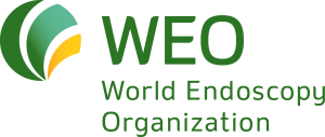 WEO_logo