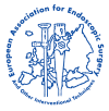 Logo_EAES